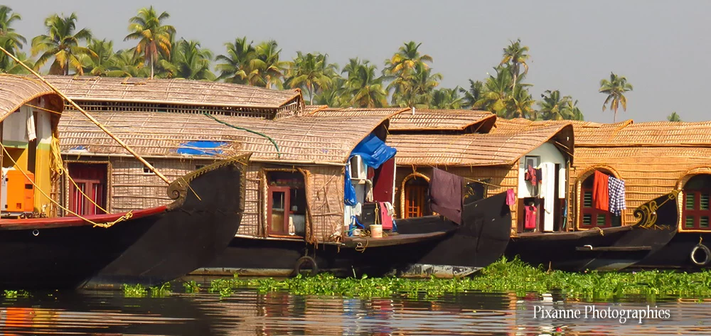asie, inde, inde du sud, backwaters, House Boat, souvenirs de voyages, pixanne photographies