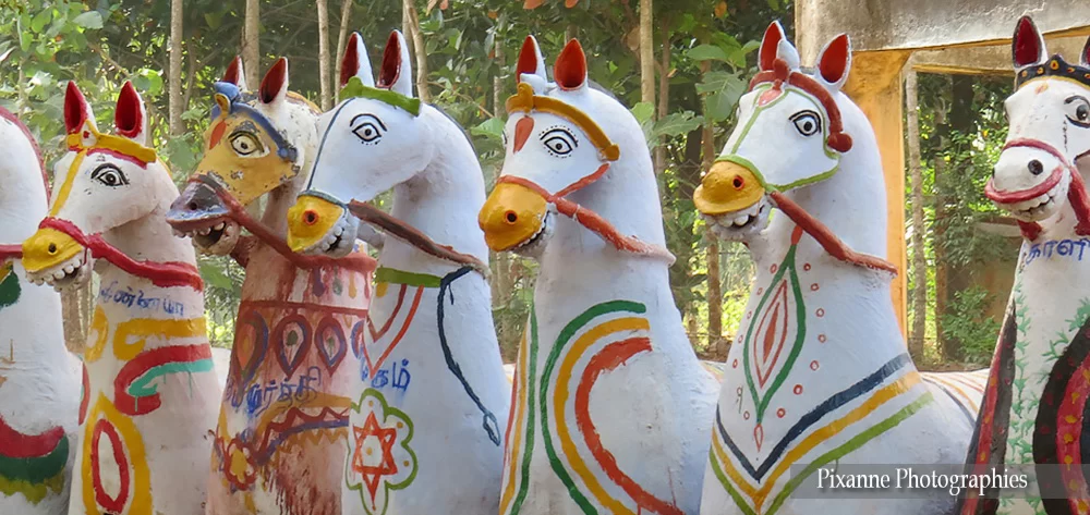 asie, inde, inde du sud, Chettinad, kothamangalam, ayyanar temple, chevaux, souvenirs de voyages, pixanne photographies