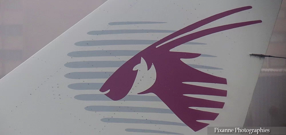 asie, inde, inde du sud, logo, qatar airways, souvenirs de voyages, pixanne photographies