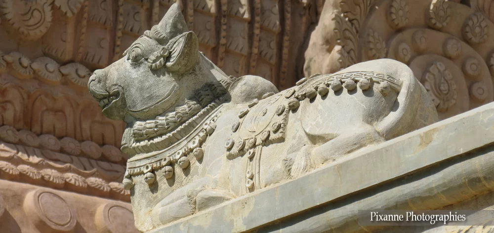 asie, inde, inde du sud, gangaikondacholapuram, Briahdisvara temple, brihadesvara, nandi, souvenirs de voyages, pixanne photogprahies