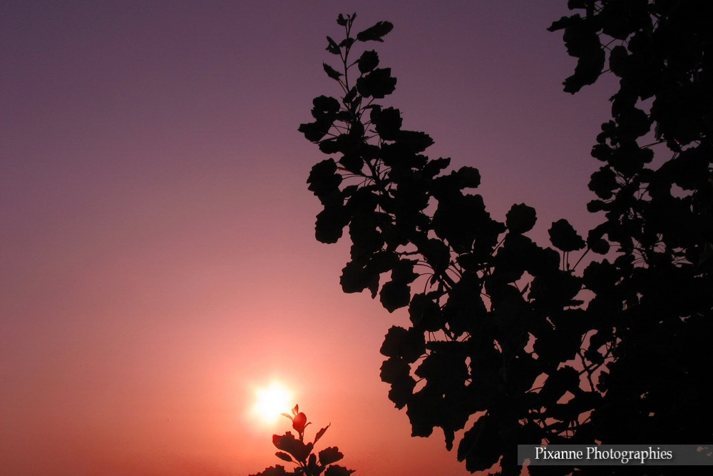 Europe, Grèce, Iles Saroniques, Salamina, Salamine, Coucher de Soleil, Souvenirs de Voyages, Pixanne Photographies