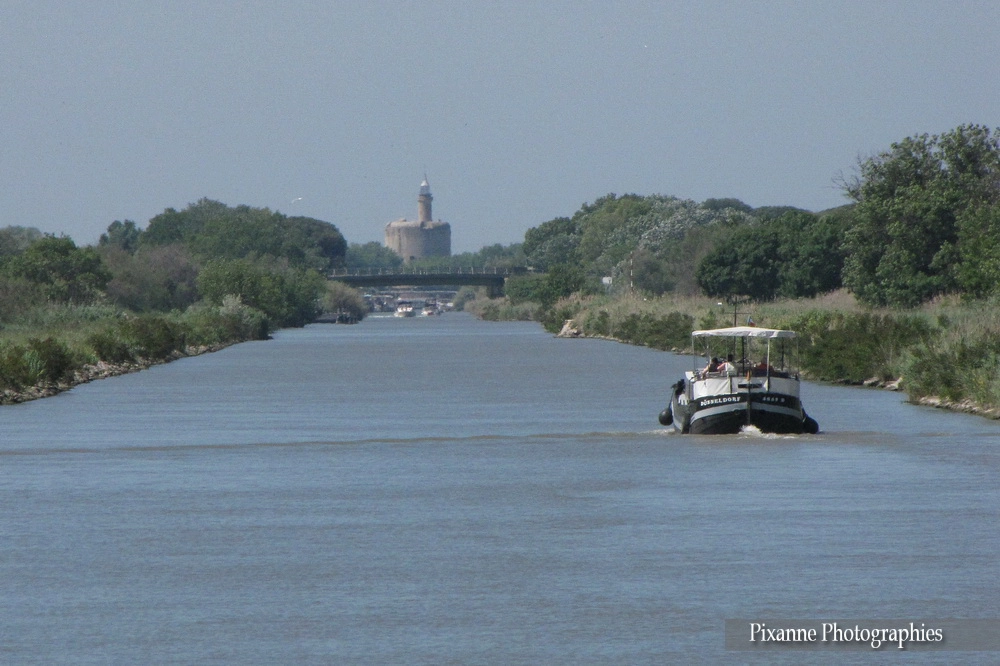 Europe, France, Camargue, Occitanie, Canal du Rhone, Aigues Mortes, Souvenirs de Voyages, Pixanne Photographies