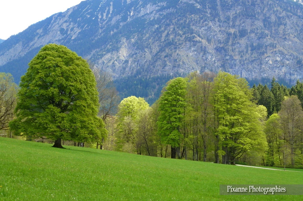 Europe, Allemagne, Bavière, Ettal, Château de Linderhof, Souvenirs de Voyages, Pixanne Photographies