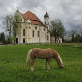Europe, Allemagne, Bavière, Steingaden, Eglise, Eglise de Wies, Souvenirs de Voyages, Pixanne Photographies