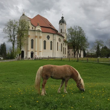 L&rsquo;Eglise de Wies à Steingaben