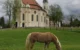Europe, Allemagne, Bavière, Steingaden, Eglise, Eglise de Wies, Souvenirs de Voyages, Pixanne Photographies