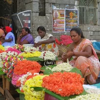 asie, inde, inde du sud, chennai, kamarajar market, marché aux fleurs, souvenirs de voyages, pixanne photographies