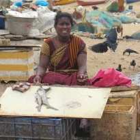 asie, inde, inde du sud, chennai, marché aux poissons, souvenirs de voyages, pixanne photographies