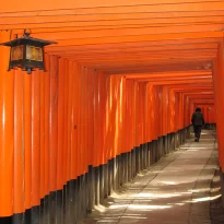 Asie, Japon, Kyoto, Fushimi Inari, Souvenirs de Voyages, Pixanne Photographies