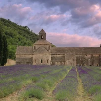 Europe, France, PACA, Luberon, Vaucluse, Sénanque, Abbaye de Sénanque, Souvenirs de Voyages, Pixanne Photographies
