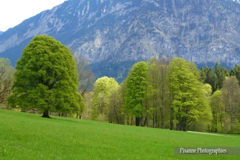 Europe, Allemagne, Bavière, Ettal, Château de Linderhof, Souvenirs de Voyages, Pixanne Photographies