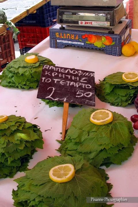 Europe, Grèce, Attique, Athènes, Pirée, Marché, Feuilles de Vigne, Souvenirs de Voyages, Pixanne Photographies