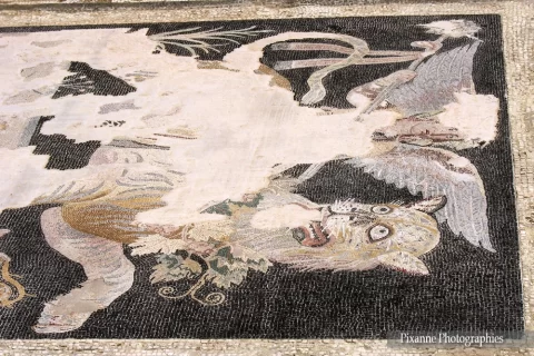 Europe, Grèce, Cyclades, Délos, Maison de Dionysos, Mosaiques, Souvenirs de Voyages, Pixanne Photographies