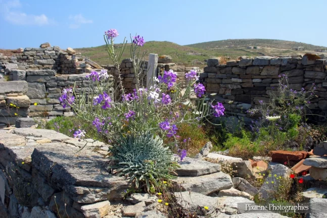 Europe, Grèce, Cyclades, Délos, Souvenirs de Voyages, Pixanne Photographies