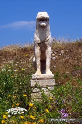 Europe, Grèce, Cyclades, Délos, Terrasse des Lions, Lion, Souvenirs de Voyages, Pixanne Photographies