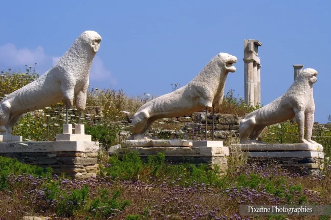 Europe, Grèce, Cyclades, Délos, Terrasse des Lions, Souvenirs de Voyages, Pixanne Photographies