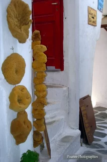 Europe, Grèce, Cyclades, Mykonos, Eponges, Souvenirs de Voyages, Pixanne Photographies