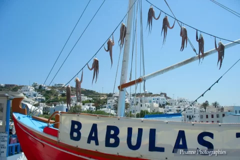 Europe, Grèce, Cyclades, Mykonos, Poulpes, Souvenirs de Voyages, Pixanne Photographies