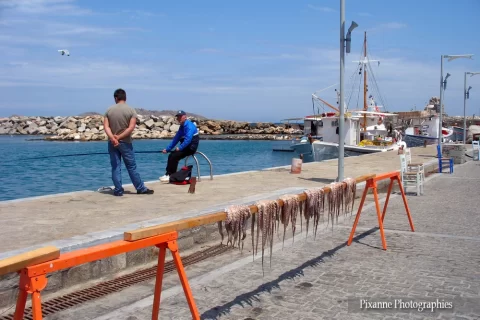 Europe, Grèce, Cyclades, Paros, Naoussa, Port, Pêcheur, Poulpes, Souvenirs de Voyages, Pixanne Photographies