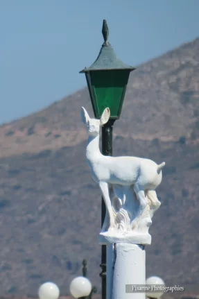 Europe, Grèce, Péloponnèse, Elafonisos, Daim, Souvenirs de Voyages, Pixanne Photographies