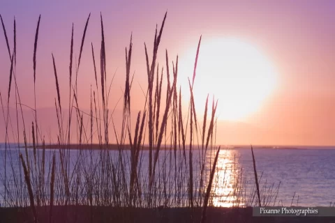 Europe, Grèce, Péloponnèse, Elafonisos, Coucher de Soleil, Souvenirs de Voyages, Pixanne Photographies