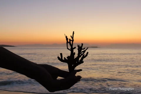 Europe, Grèce, Péloponnèse, Elafonisos, Contre jour, Souvenirs de Voyages, Pixanne Photographies
