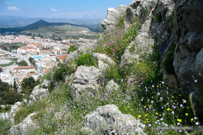 Europe, Grèce, Péloponnèse, Nauplie, Nafplio, Forteresse Palamède, Souvenirs de Voyages, Pixanne Photographies