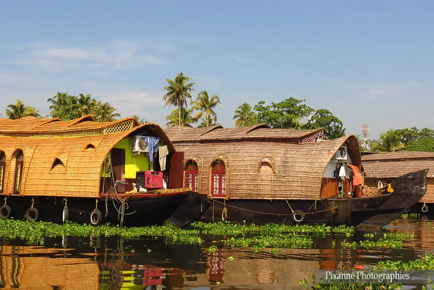 asie, inde inde du sud, alleppey, alappusha, backwaters, house boat, souvenirs de voyages, pixanne photographies