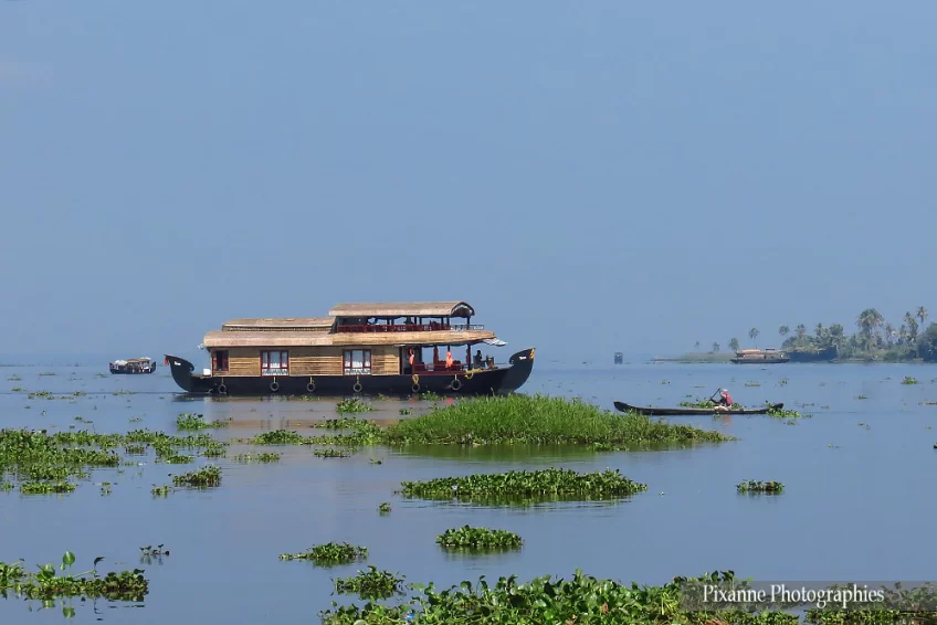 asie, inde, inde du sud, backwaters, hous boat, souvenirs de voyages, pixanne photographies