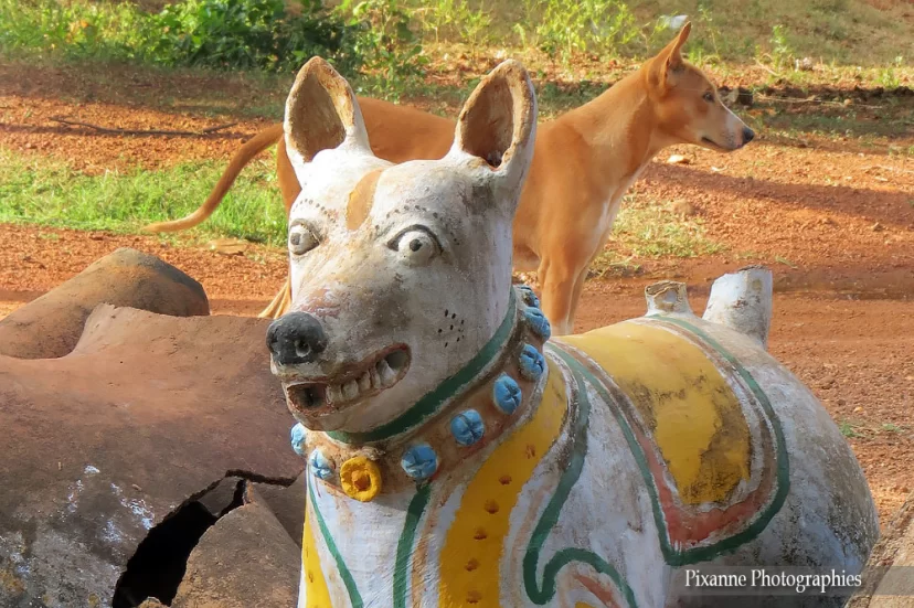 asie, inde, inde du sud, chettinad, kothamangalam, ayyanar temple, chien, souvenirs de voyages, pixanne photographies