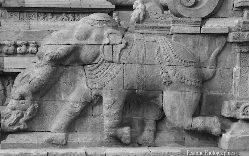 asie, inde, inde du sud, airavateshvara temple, fresque, elephant, souvenirs de voyages, pixanne photographies
