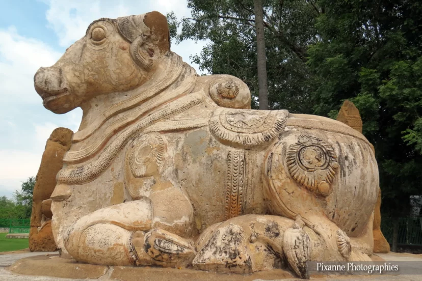 asie, inde, inde du sud, kanchipuram, kailasanathar temple, nandi, souvenirs de voyages, pixanne photographies
