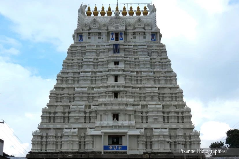 asie, inde, inde du sud, kanchipuram, varadharaja perumal temple, gopuram, souvenirs de voyages, pixanne photographies