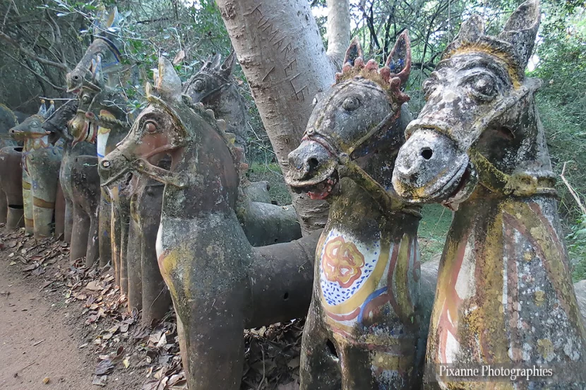 asie, inde, inde du sud, namanasamudram, ayyanar temple, chevaux en terre cuite, souvenirs de voyages, pixanne photographies