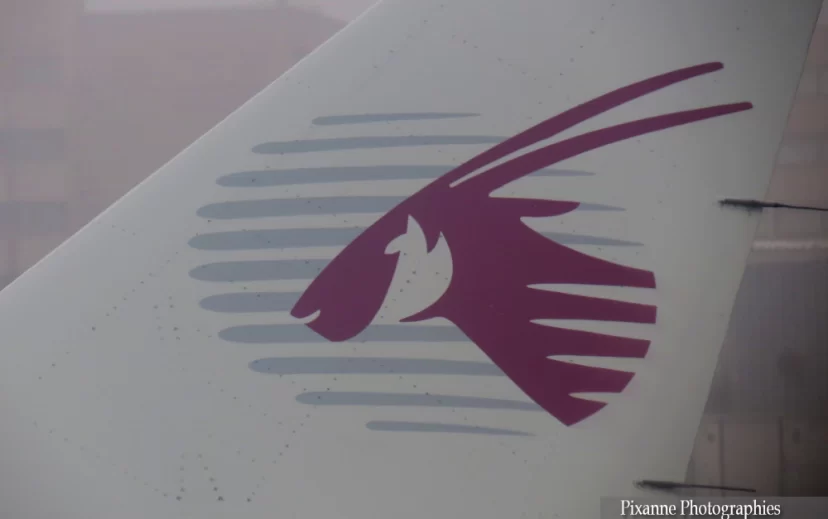 avion, qatar airways, oryx d'Arabie, souvenirs de voyages, pixanne photographies