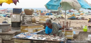 asie, inde, inde du sud, chennai, marché aux poissons, souvenirs de voyages, pixanne photographies