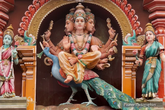 Asie, Inde, Inde du Sud, Chennai, Kapaleeshwarar Temple, Kapaleeswarar, Murugan, Karttikeya, shanda, Souvenirs de Voyages, Pixanne Photographies