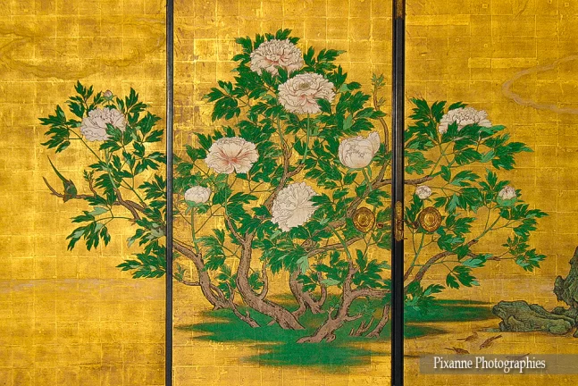 Asie, Japon, Arashiyama, Daikakuji, Fusuma, salle des pivoines, Sanraku Kano, Souvenirs de Voyages, Pixanne Photographies