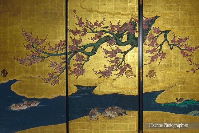 Asie, Japon, Arashiyama, Daikakuji, Fusuma, salle des prunes rouges, Sanraku Kano, Souvenirs de Voyages, Pixanne Photographies