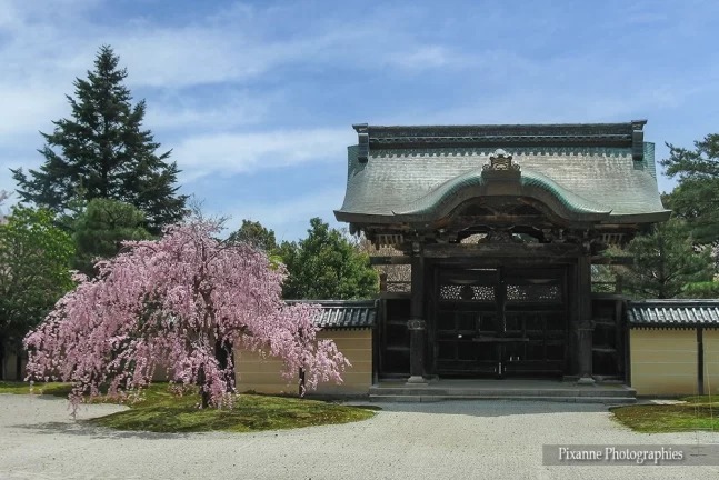 Asie, Japon, arashiyama, Daikakuji, Chokushimon, Souvenirs de Voyages, Pixanne Photographies