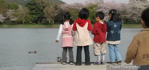 Asie, Japon, Arashiyama, Osawa No Ike, Souvenirs de Voyages, Pixanne Photographies