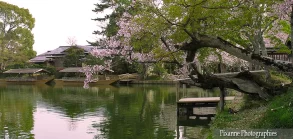 Asie, Japon, Arashiyama, Osawa No Iké, Souvenirs de Voyages, Pixanne Photographies