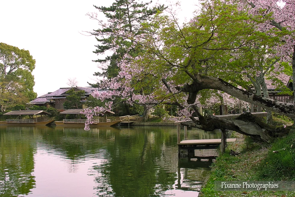 Asie, Japon, Arashiyama, Osawa No Ike, Souvenirs de Voyages, Pixanne Photographies