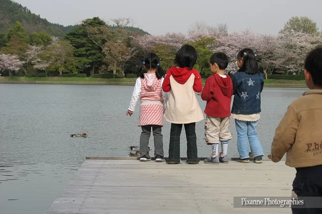 Asie, Japon, Arashiyama, Osawa No Ike, Souvenirs de Voyages, Pixanne Photographies