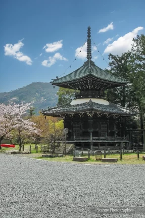 Asie, Japon, Arashiyama, Seiryoji, Shaka-dō, Pagode, Tahoto, Souvenirs de Voyages, Pixanne Photographies