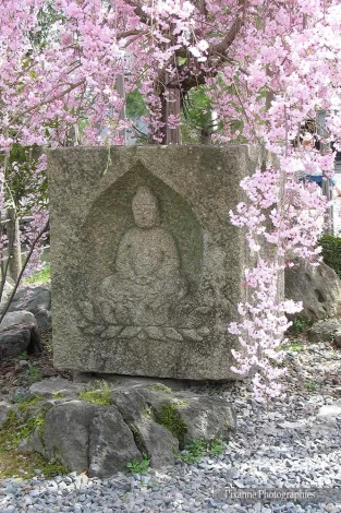 Asie, Japon, Arashiyama, Seiryoji, Shaka-dō, Bouddha, Souvenirs de Voyages, Pixanne Photographies
