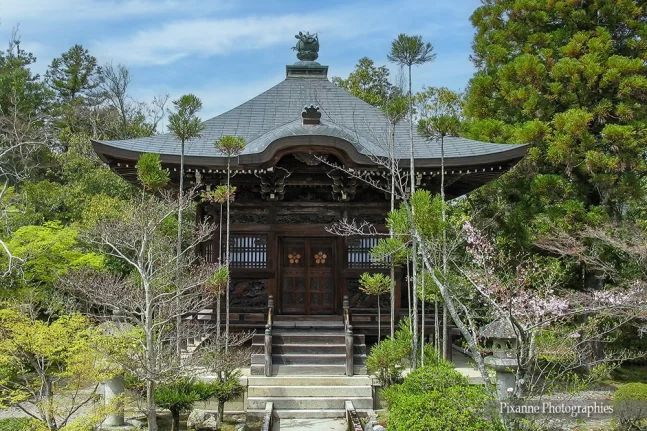 Asie, Japon, Arashiyama, Seiryoji, Shaka-dō, benten-dō, Souvenirs de Voyages, Pixanne Photographies