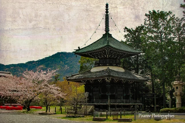 Asie, Japon, Arashiyama, Seiryoji, Tahoto, souvenirs de voyages, Pixanne Photographies
