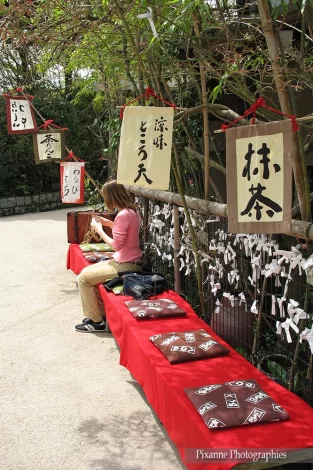 Asie, Japon, Kyoto, Chemin de la Philosophie, Hanami, Sakura, Souvenirs de Voyages, Pixanne Photographies
