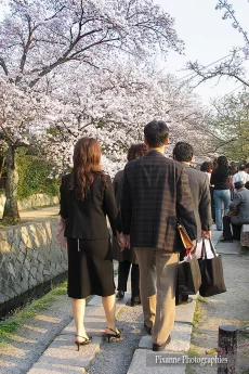 Asie, Japon, Kyoto, Chemin de la Philosophie, Hanami, Souvenirs de Voyages, Pixanne Photographies